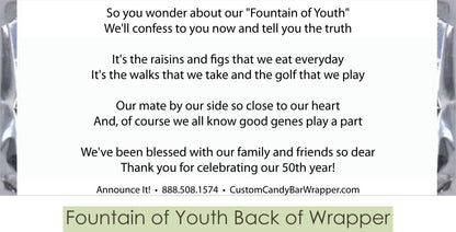 Fountain of Youth Back